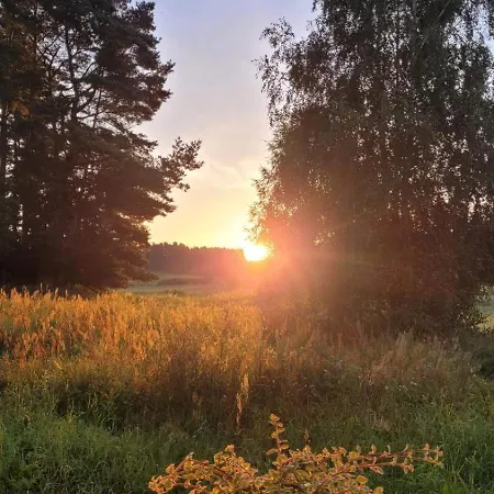 Villa Siedlisko Przy Lesie Alpaka 3 *