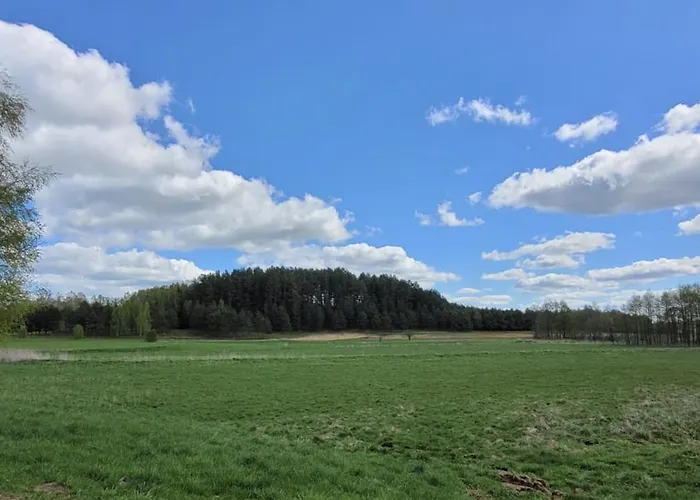 Villa Siedlisko Przy Lesie Alpaka 3