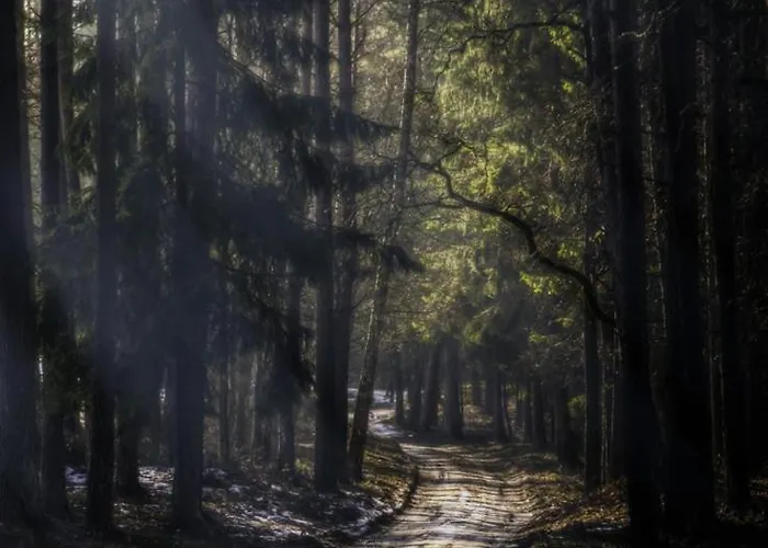 Siedlisko Przy Lesie Alpaka 3 Villa Workiejmy