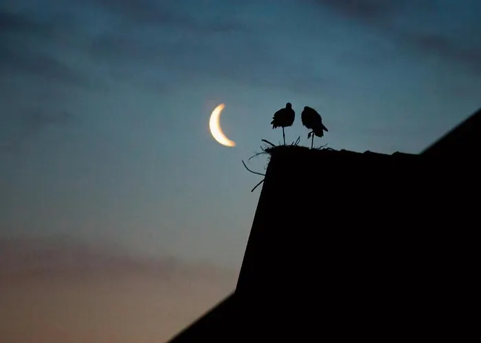 Villa Siedlisko Przy Lesie Alpaka 3 Workiejmy