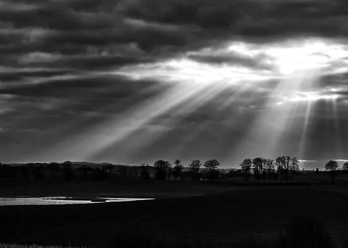 Siedlisko Przy Lesie Alpaka 3 *