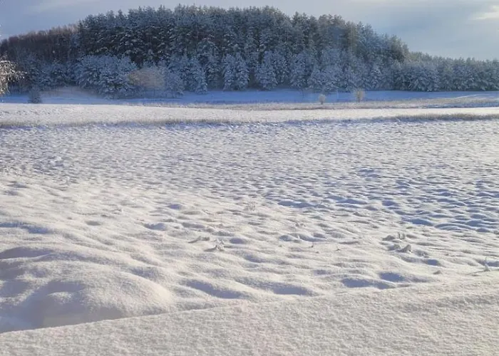 Siedlisko Przy Lesie Alpaka 3 Villa