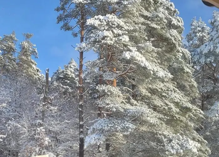 Villa Siedlisko Przy Lesie Alpaka 3