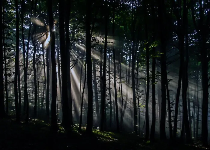 Siedlisko Przy Lesie Alpaka 3 Villa Workiejmy