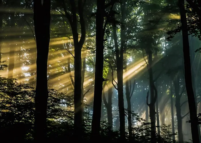 Siedlisko Przy Lesie Alpaka 3 Workiejmy