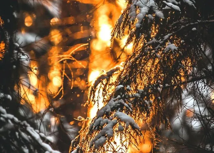 Siedlisko Przy Lesie Alpaka 3