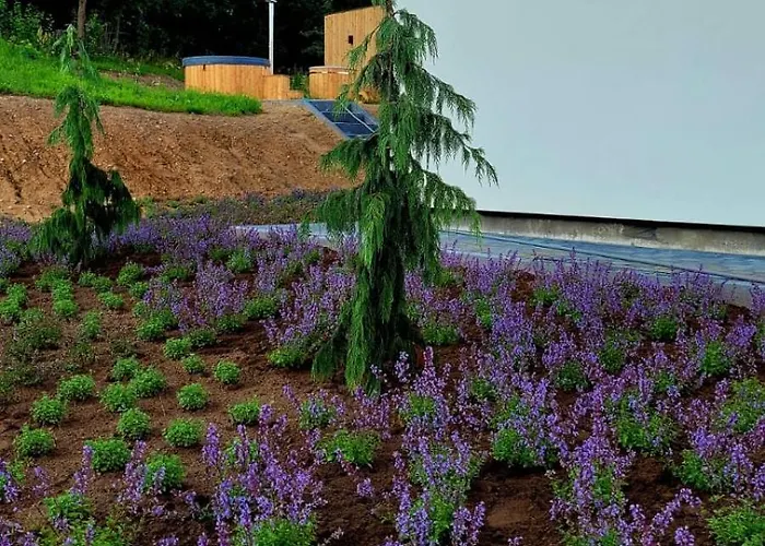 Siedlisko Przy Lesie Alpaka 3 Workiejmy